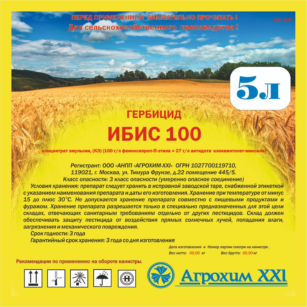 Ибис 100